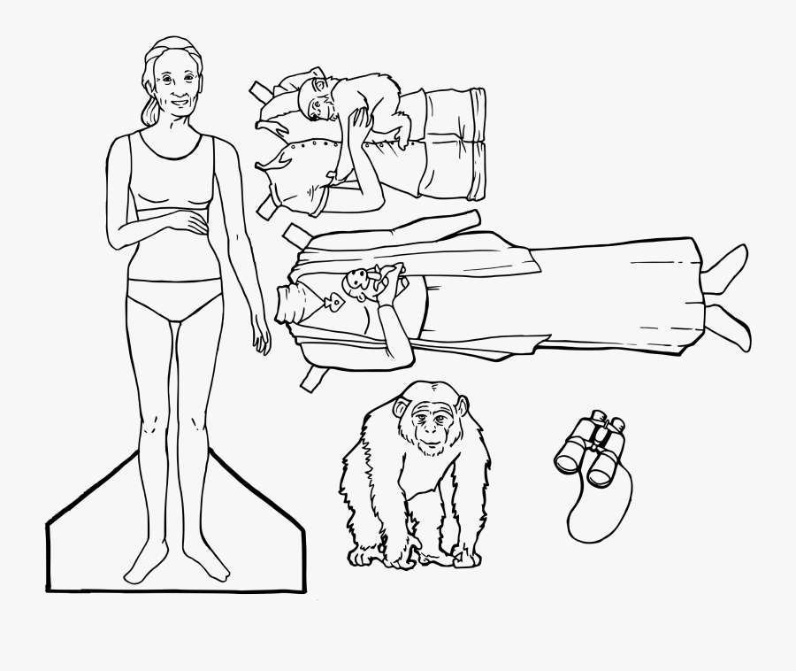 Line Art, Transparent Clipart