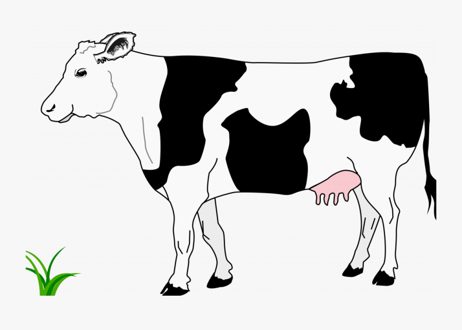 Cow Clipart - Black And White Image Of Cow, Transparent Clipart