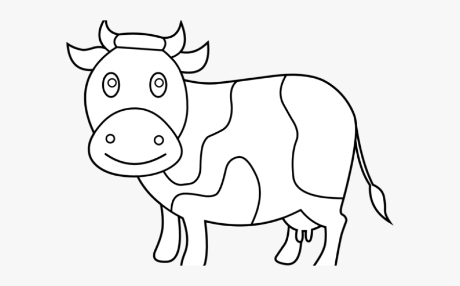 Transparent Show Steer Clipart - Coloring Book, Transparent Clipart
