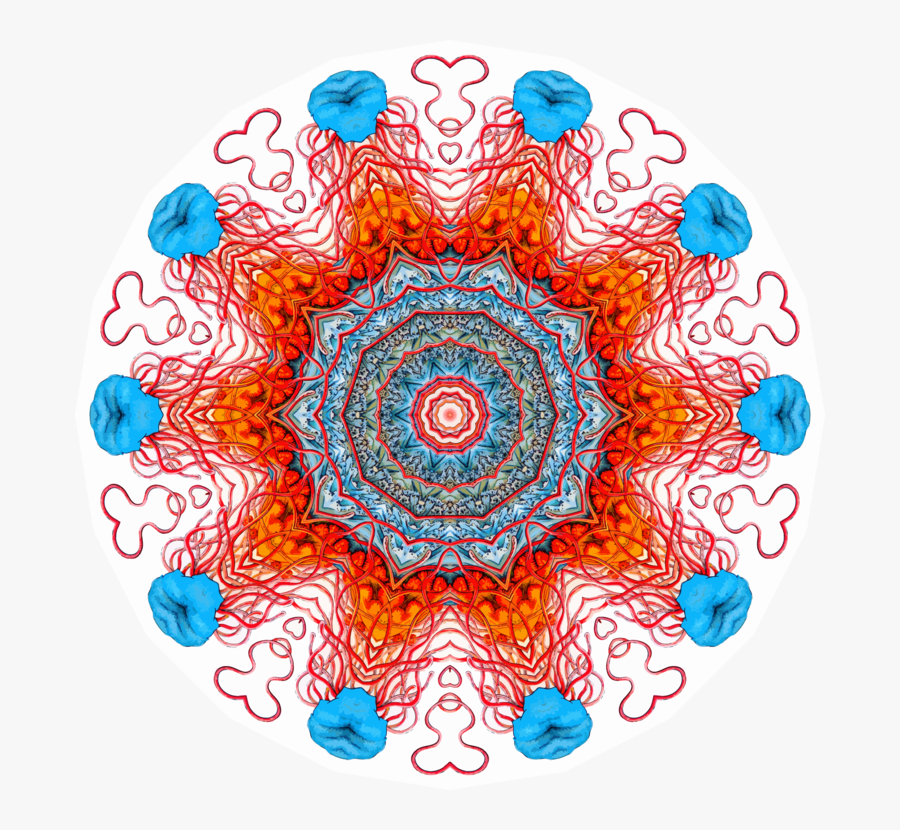 Visual Arts,art,symmetry - Circle, Transparent Clipart