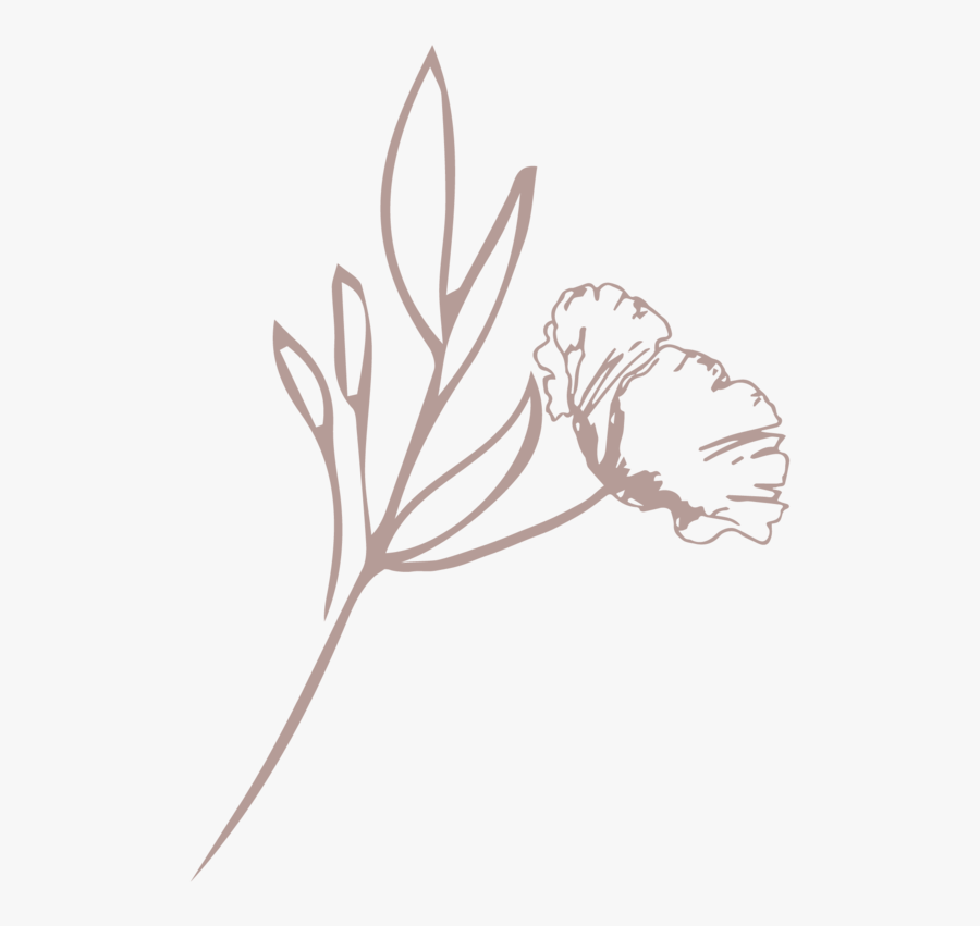 The Fresh Bloom Floral Mark Blush - Illustration, Transparent Clipart