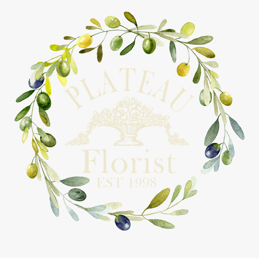 Clip Art A Lush Taylor Zak - Olive Leaf Wreath Watercolour, Transparent Clipart