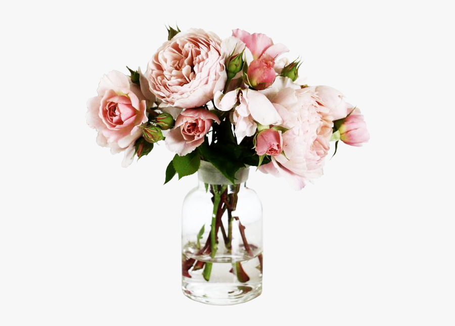 Clip Art Image Result For Transparent - Peonies In Jar, Transparent Clipart