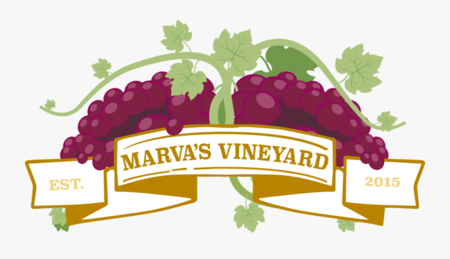 Grapevine Clipart Vinyard, Transparent Clipart
