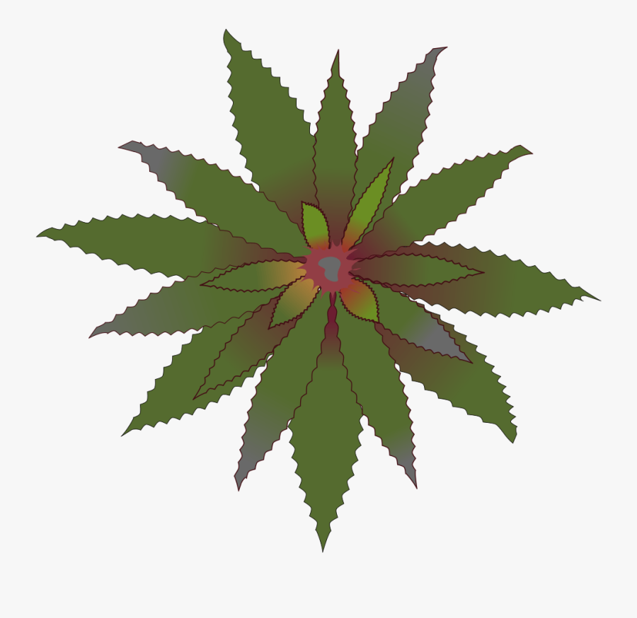 Portable Network Graphics, Transparent Clipart