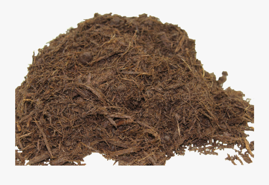 Color Enhanced Hardwood Bark, Transparent Clipart