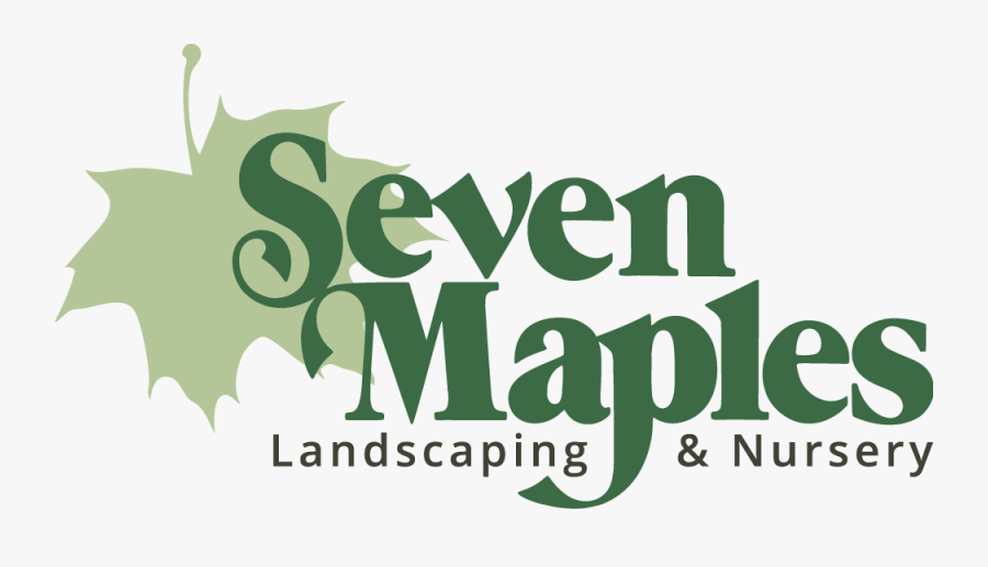 Graphic Design, Transparent Clipart