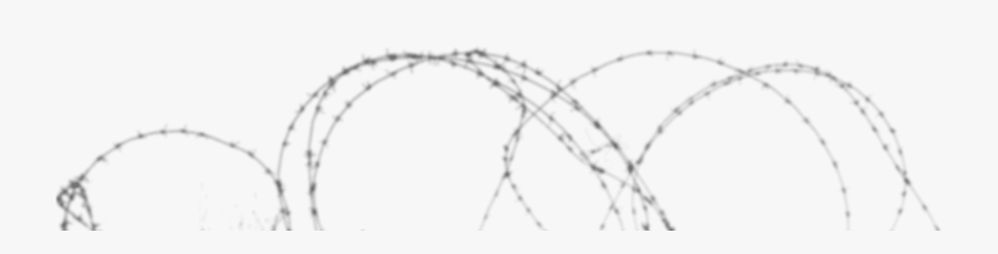 Line Art, Transparent Clipart