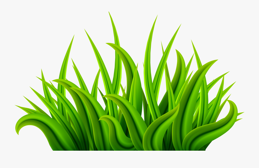 Grass Clipart Herbs - Transparent Background Grass Clipart, Transparent Clipart