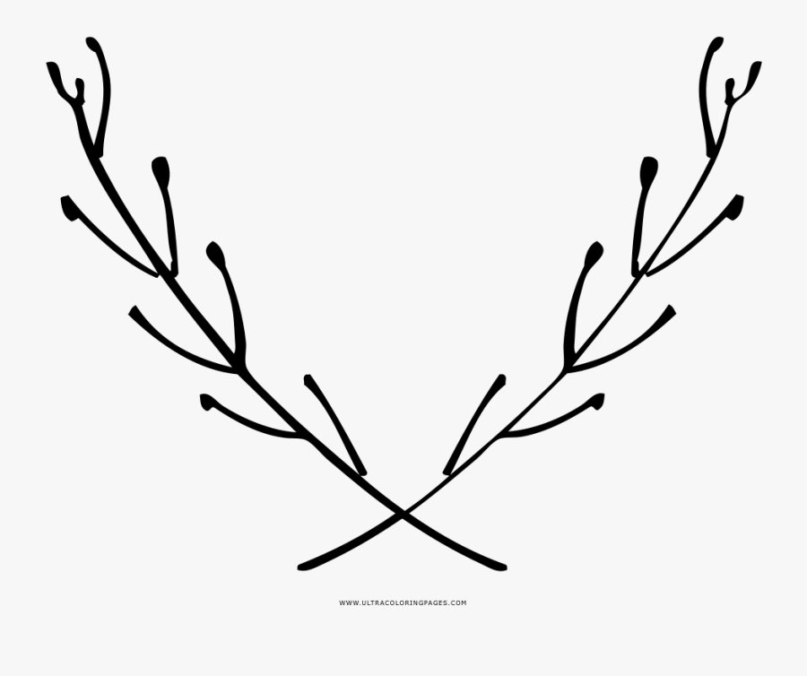 Aromatic Herbs Coloring Page - Black On White Logo, Transparent Clipart