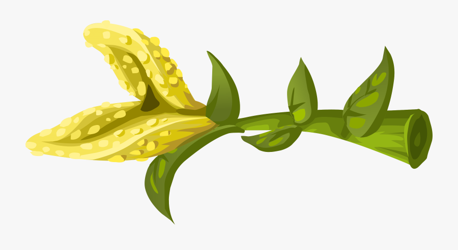 Plant,flora,leaf - Flower, Transparent Clipart