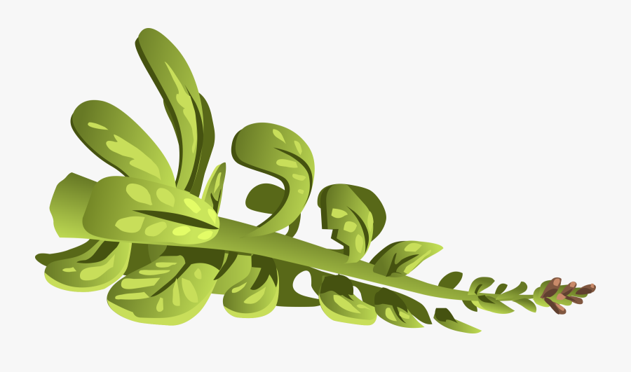 Herbs Rubeweed Clip Arts - Clip Art, Transparent Clipart