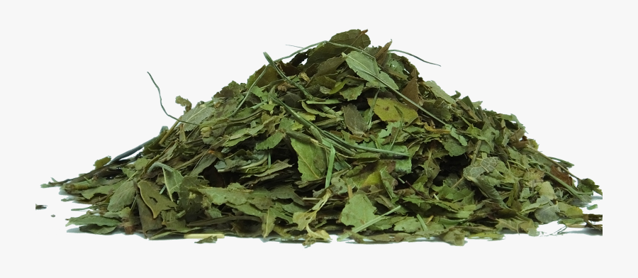 Green Tea Leaves Dry Png, Transparent Clipart