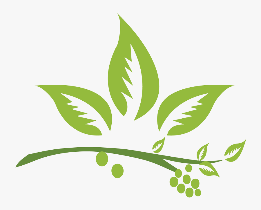 Natural Herbal Hair Care - Herb Logo Png, Transparent Clipart