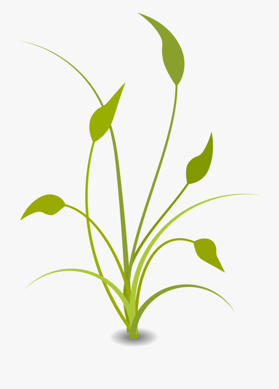 Nature Clipart Transparent, Transparent Clipart