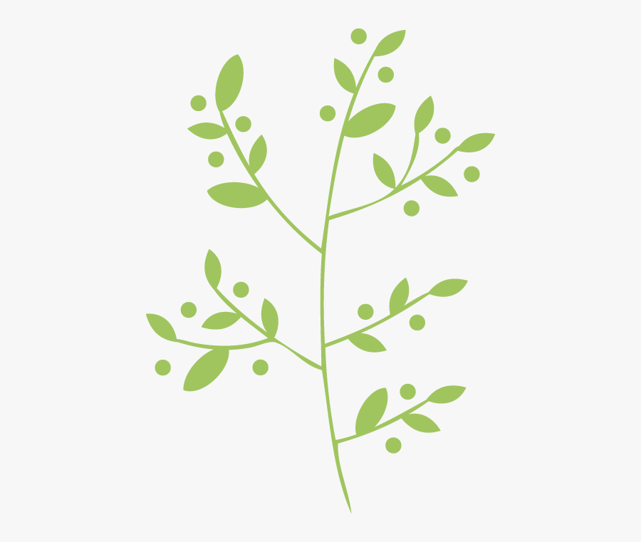 Leaf Herb Vector Png, Transparent Clipart