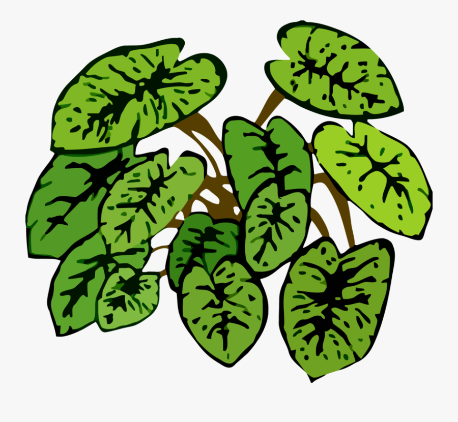 Transparent Herbs Clipart, Transparent Clipart