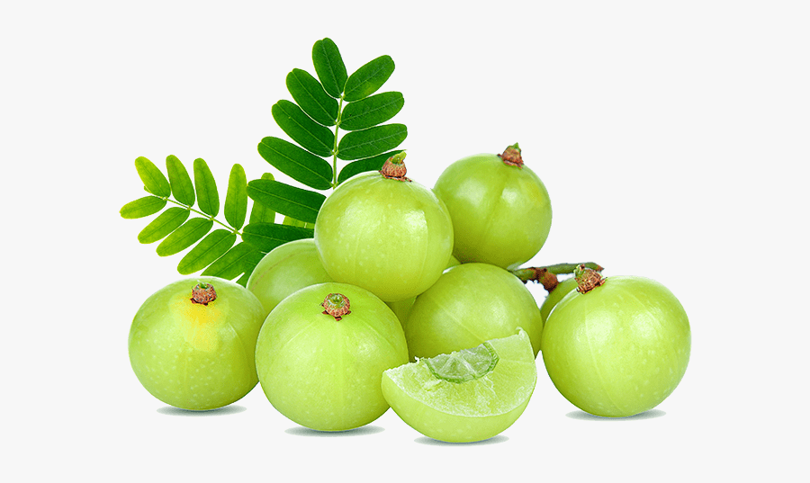 Indian Gooseberry, Transparent Clipart