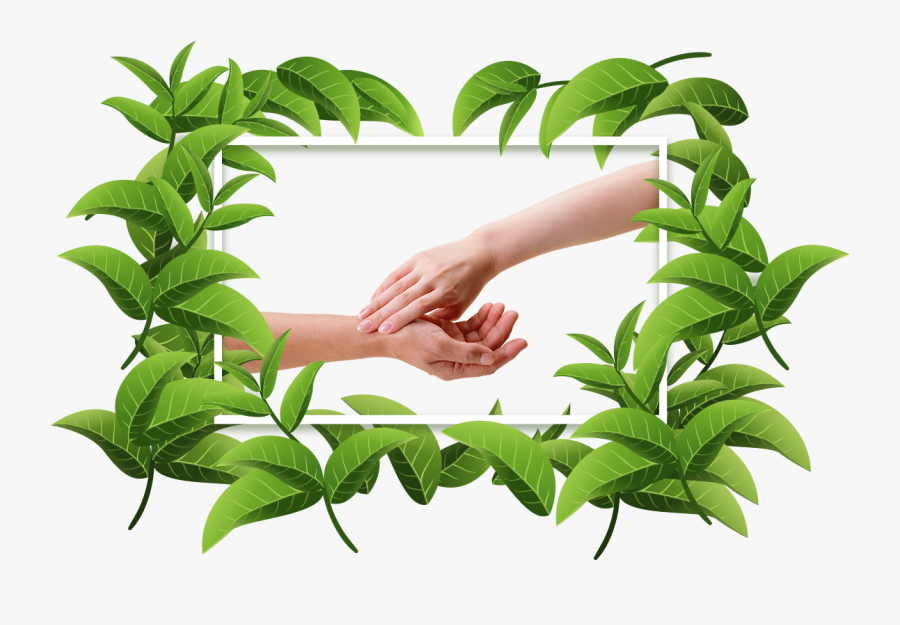 Hand, Transparent Clipart