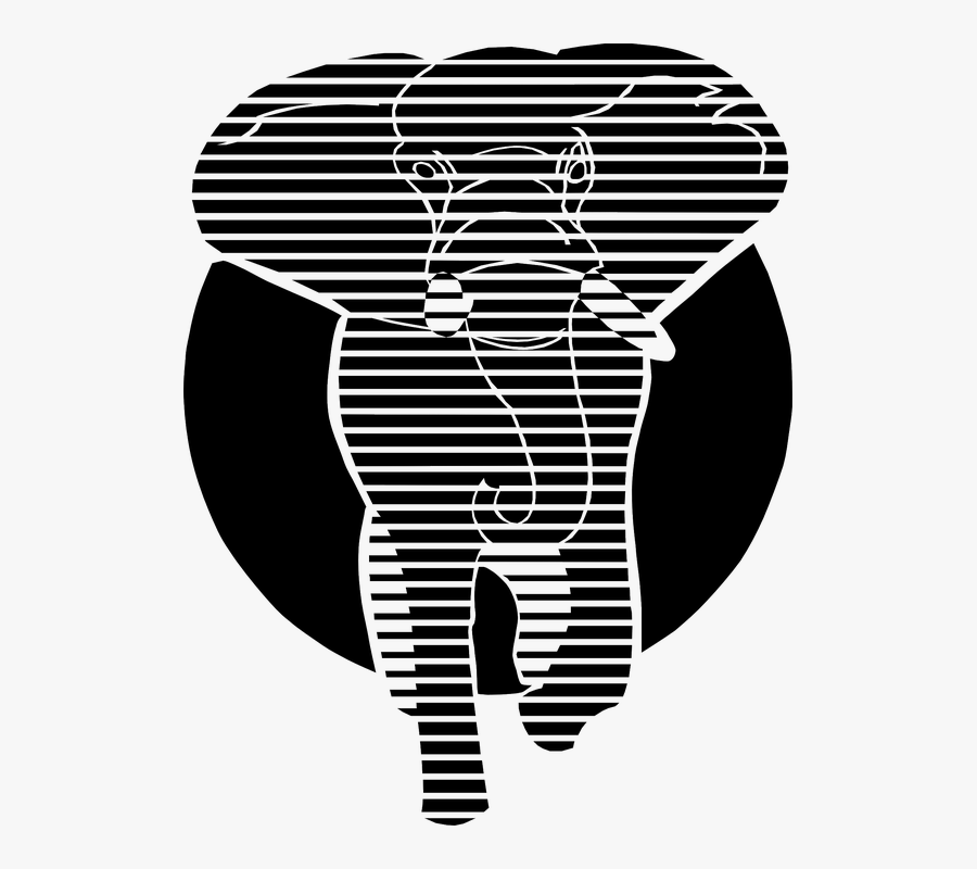 Elephant, Animal, Mammal, Tusks, Black And White - Graphic Art Black And White, Transparent Clipart