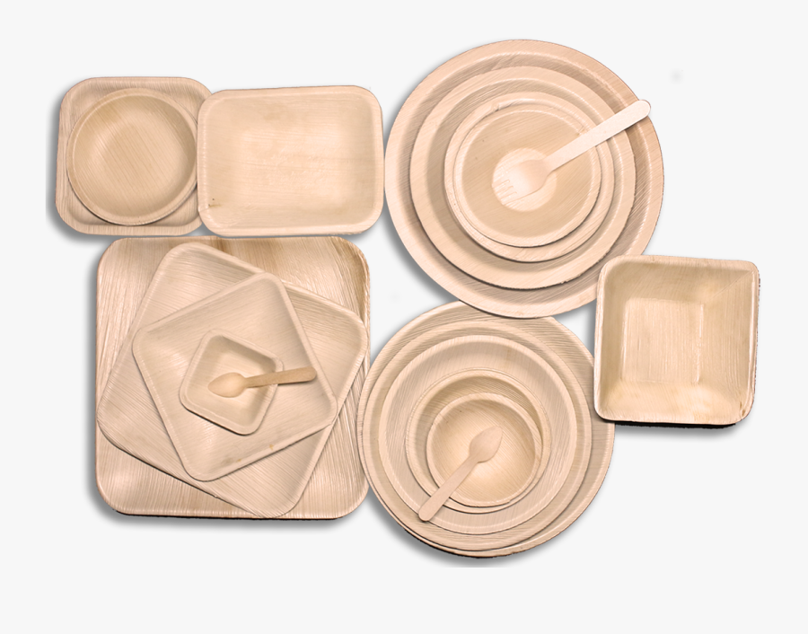 Fivx Areca Banner Use Areca Spread Green Nobg - Plywood, Transparent Clipart