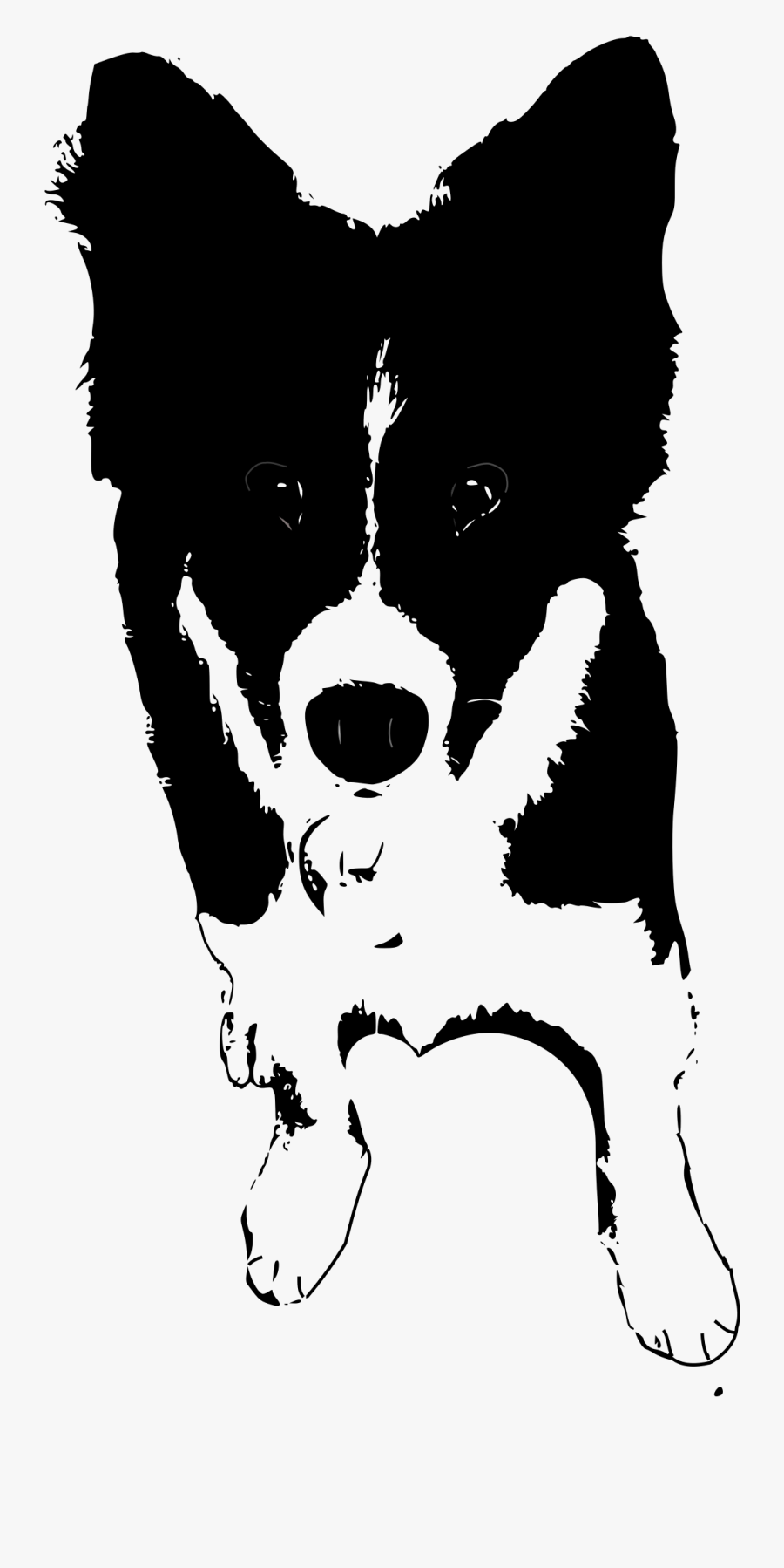 Border Collie Rough Collie Puppy Clip Art - Dogs Clipart Black And White Collie, Transparent Clipart