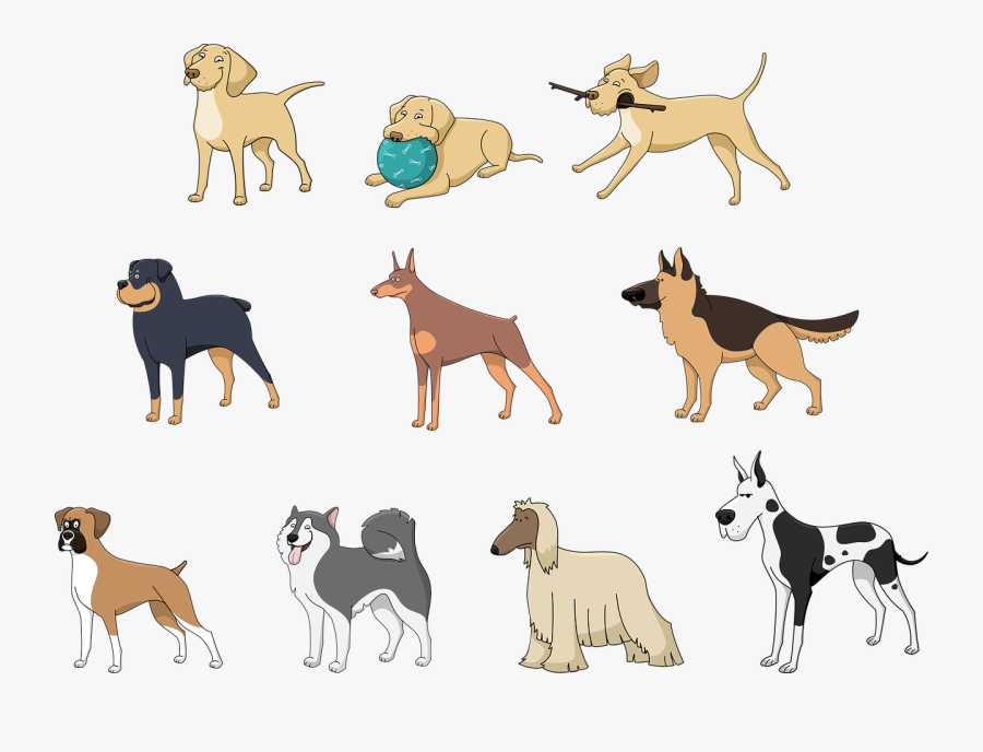 Transparent Doberman Png - Describe Your Pet Dog, Transparent Clipart