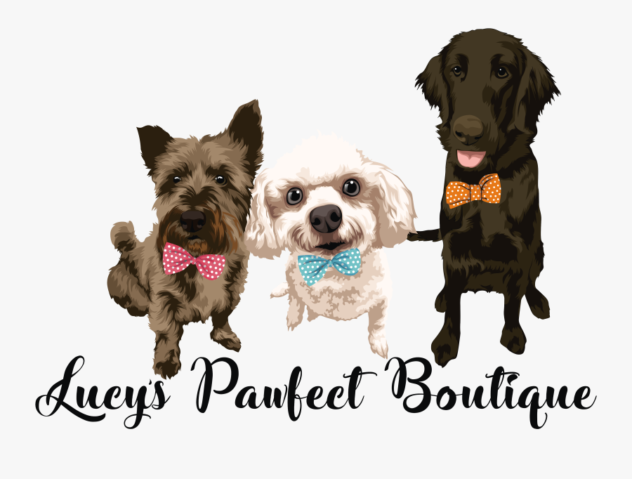 Companion Dog, Transparent Clipart