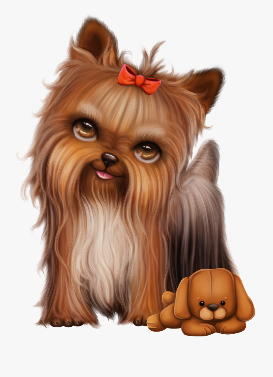 Yorkshire Terrier, Transparent Clipart