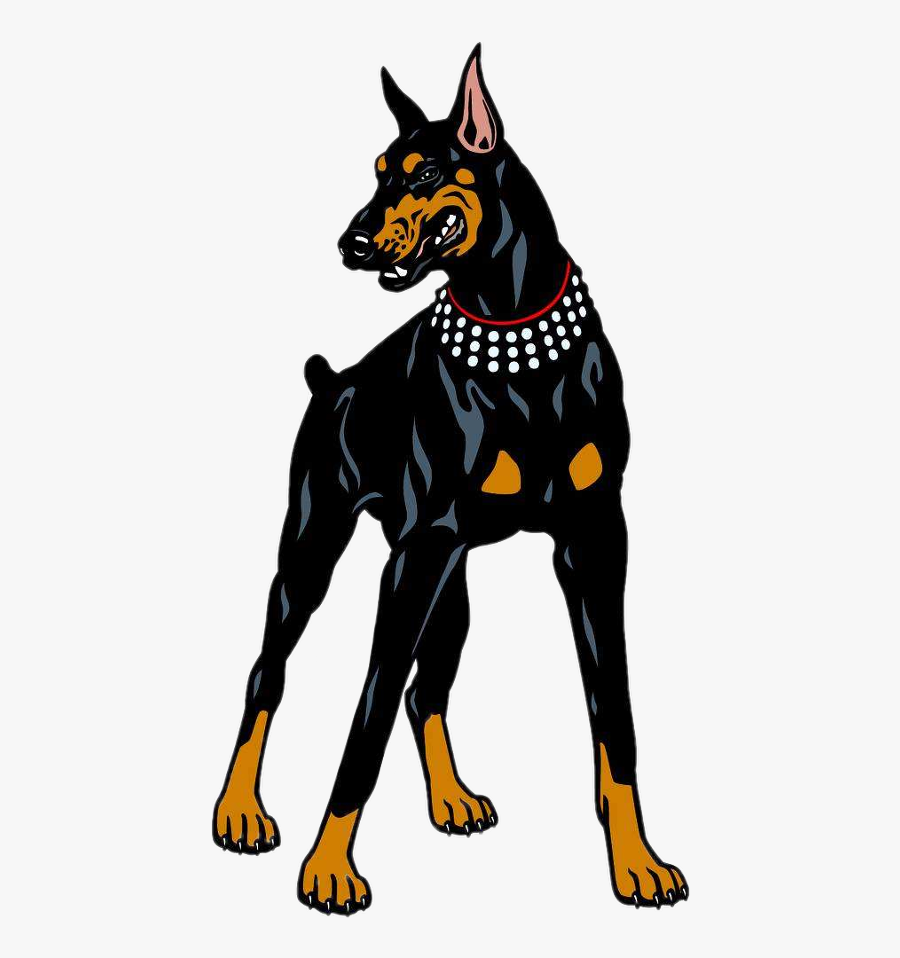Dog Dogremix Fierce Doberman Dobermannlove Freetoedit - Doberman Dog Sticker, Transparent Clipart