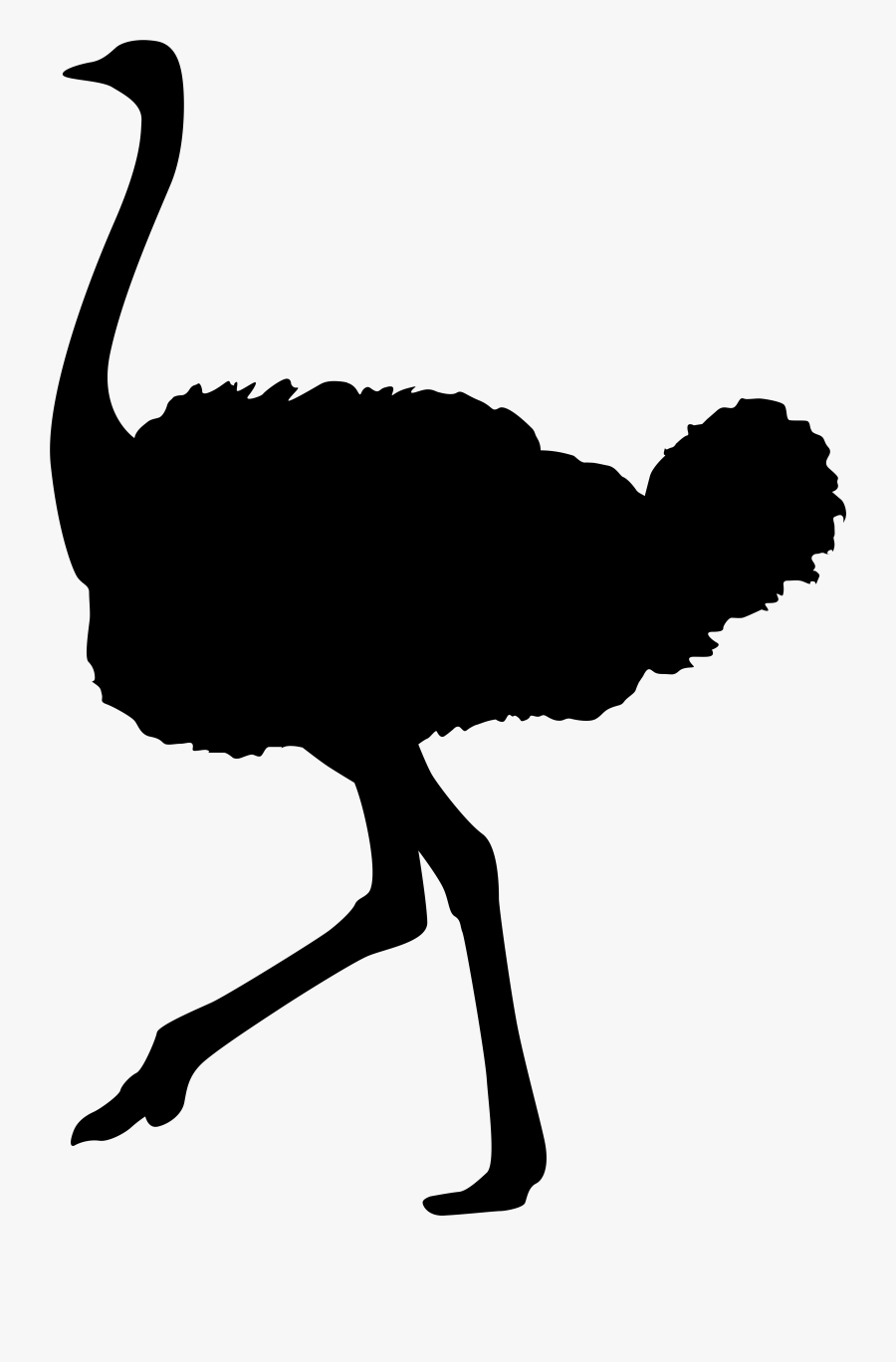 Ostrich Silhouette Png Transparent Clip Art Image Ostriches - Ostrich Clipart Black And White, Transparent Clipart