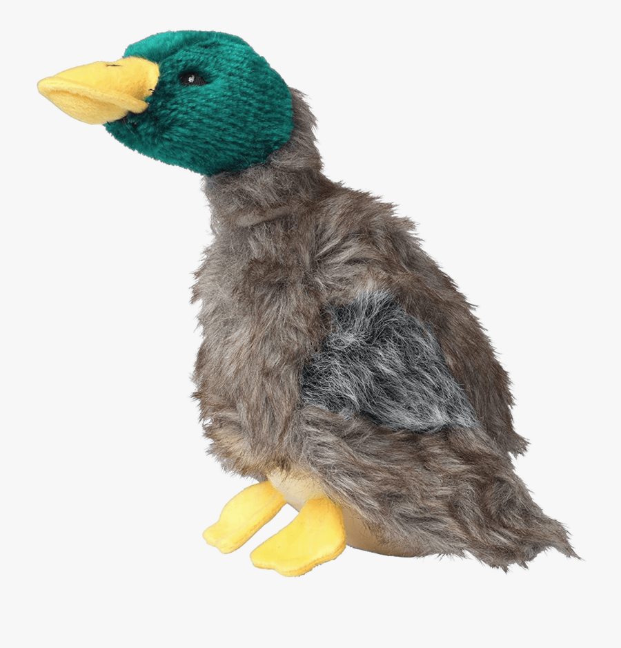 Plush Duck For Dogs - Dog Toy, Transparent Clipart