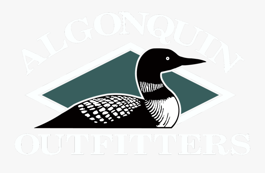 Loon Art Png - Loon Drawing, Transparent Clipart