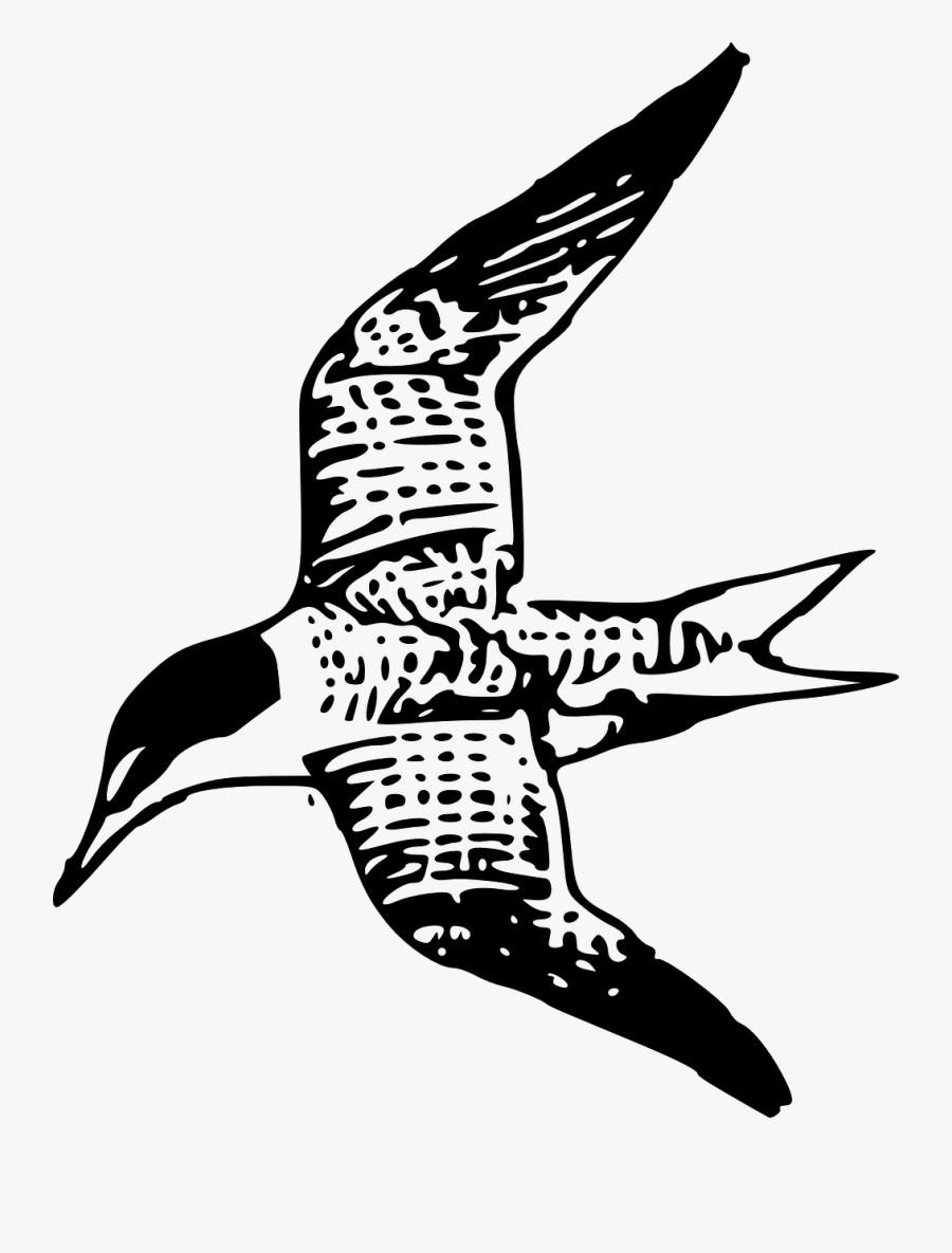 Wildlife,art,monochrome Photography - Drawing, Transparent Clipart