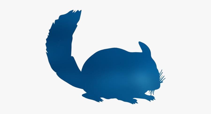 Transparent Chinchilla Mammal Png - Mother Of Chinchillas Tshirt, Transparent Clipart