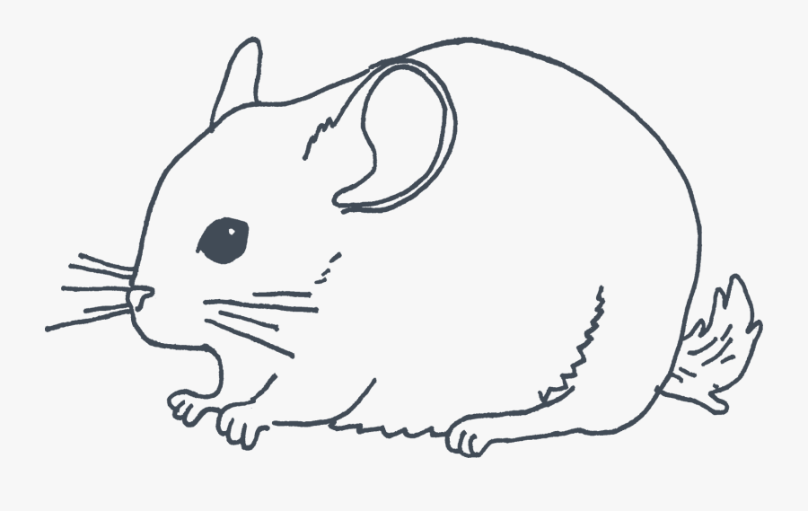 Rat, Transparent Clipart