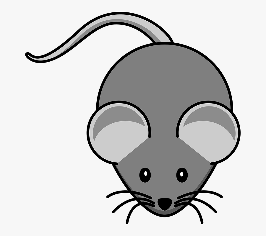 Clip Art Mouse, Transparent Clipart