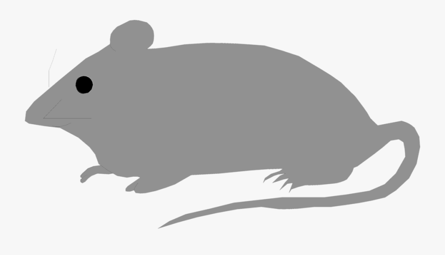Mice Clipart Deer Mouse - Mouse Illustration Free, Transparent Clipart