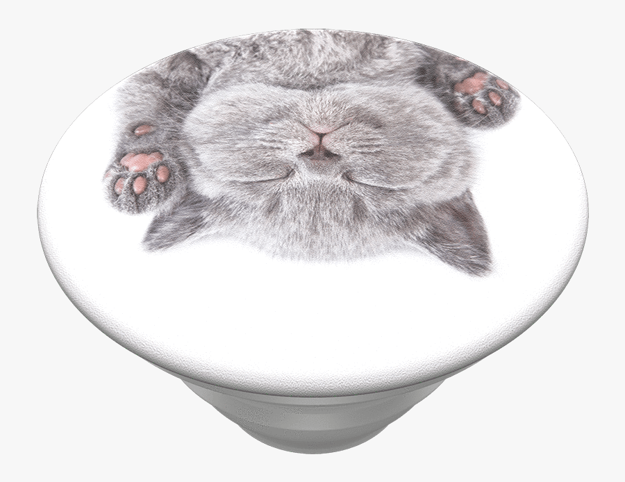 Cat Nap Popsockets Popgrip - Cat Nap Popsocket, Transparent Clipart