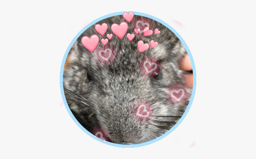 Cutie - Rat, Transparent Clipart