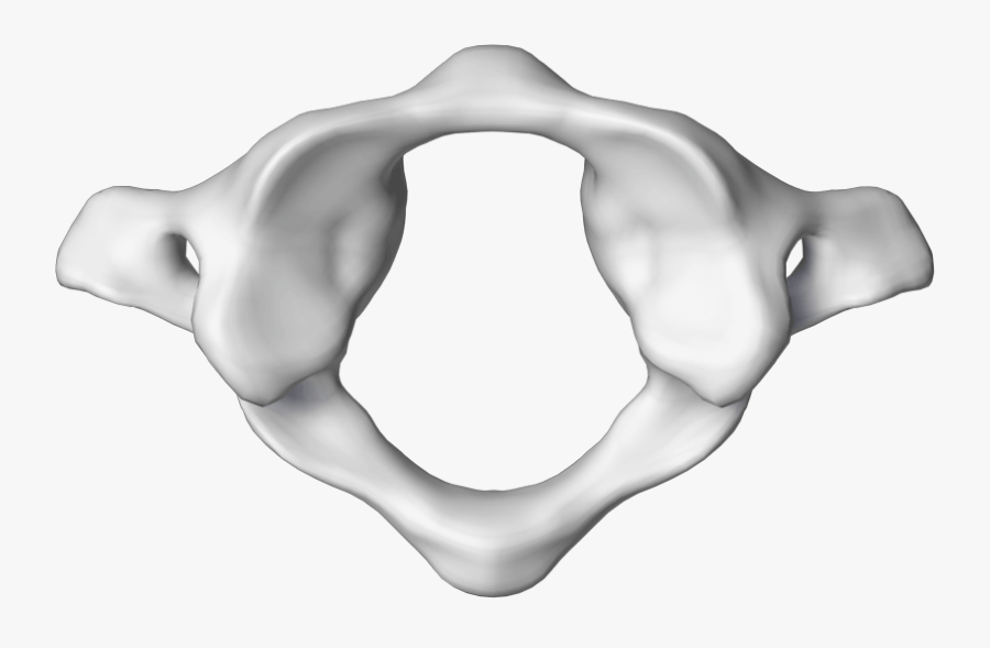 Atlas Vertebrae Clipart, Transparent Clipart