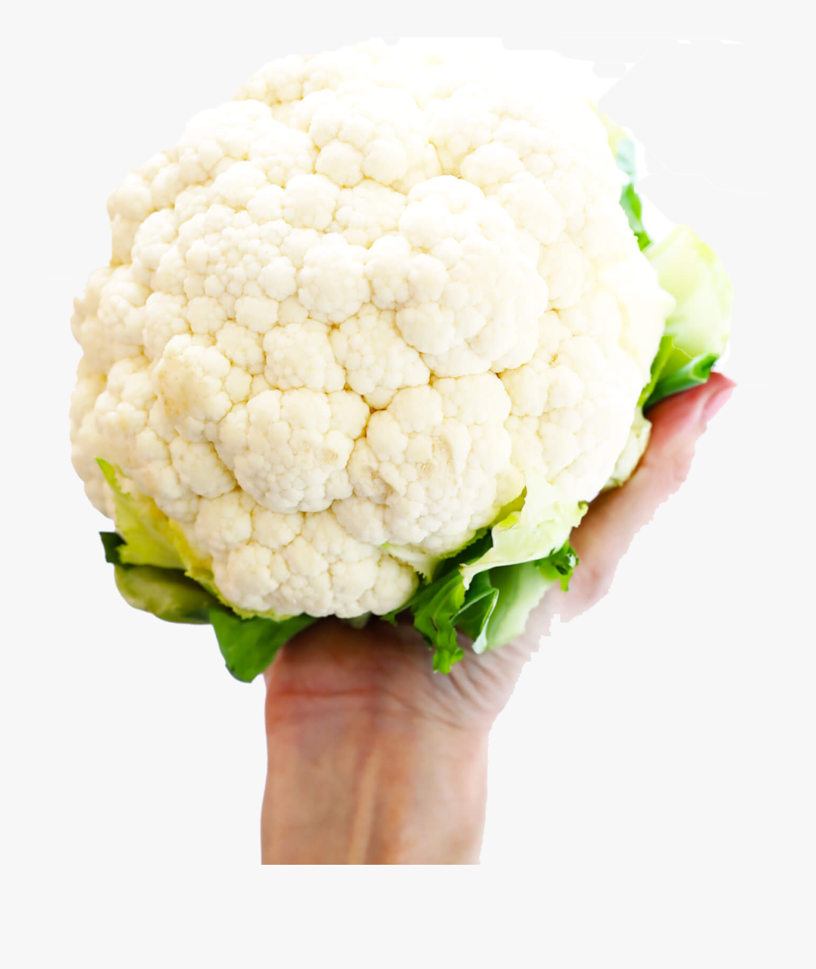 White Cauliflower Png Photo - Cauliflower White Power, Transparent Clipart