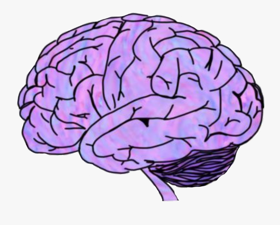 #brain #scary #crippy #mozak #purple #pink #organ #head - Brain Png, Transparent Clipart