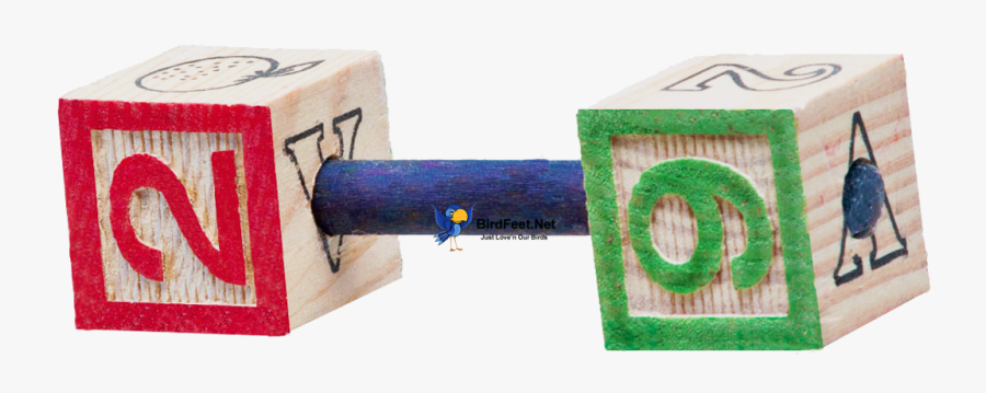 Superbird, Abc Blocks Barbell, For Pet Birds - Lumber, Transparent Clipart