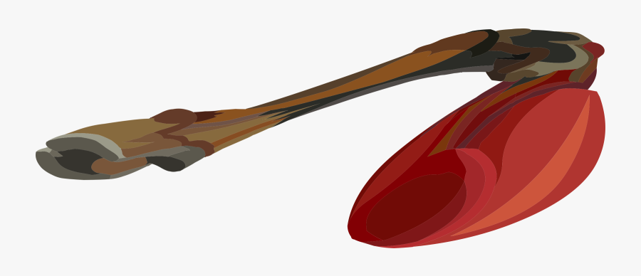 Vision Care,shoe,sunglasses - Illustration, Transparent Clipart