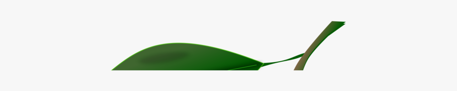 Plant,leaf,green - Shovel, Transparent Clipart
