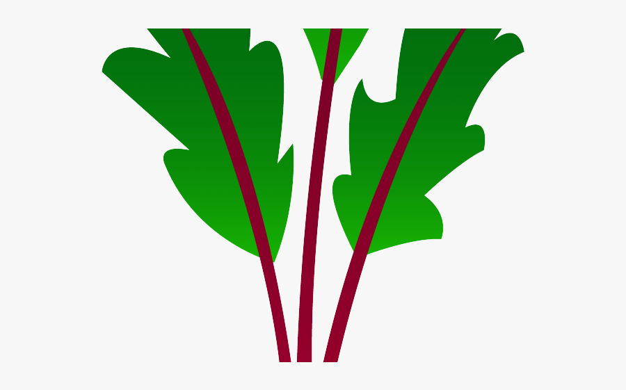 Beets Transparent Background Clipqrt, Transparent Clipart