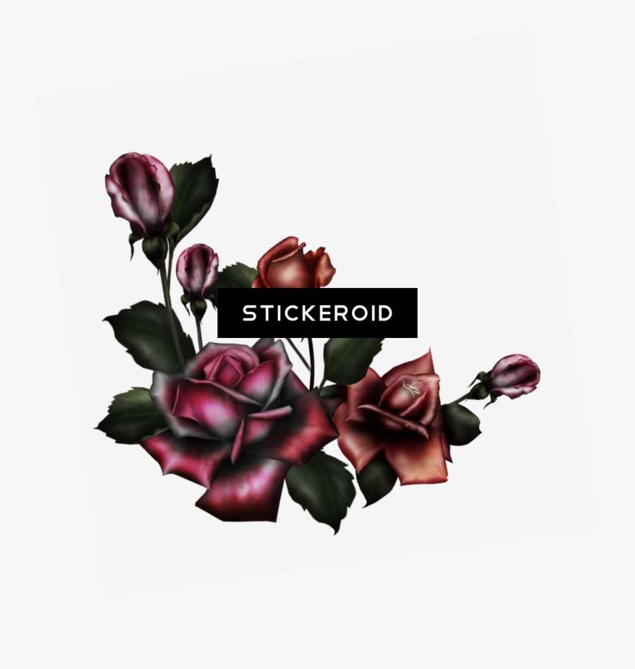 Gothic Rose Pic Flower - Gothic Png, Transparent Clipart