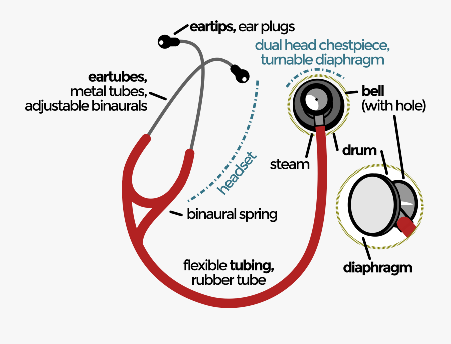 Transparent Stethoscope Clipart - Cấu Tạo Ống Nghe Bác Sĩ, Transparent Clipart