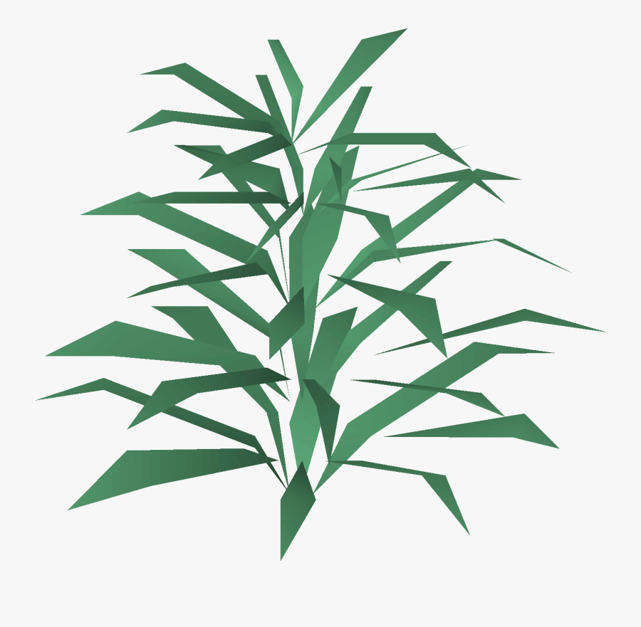 Clip Art Rosemary Illustration - Rosemary Osrs, Transparent Clipart